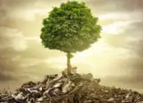 فقه اسلامی و حقوق بشر